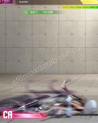 22PP