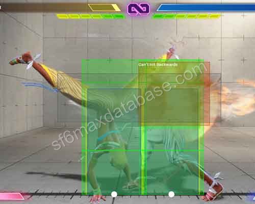 レバー 6HPHP _2