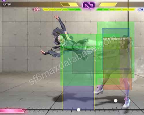 レバー 6KKK _2