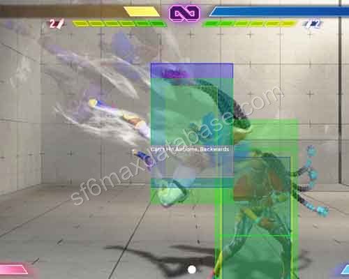 236LK HLD LP